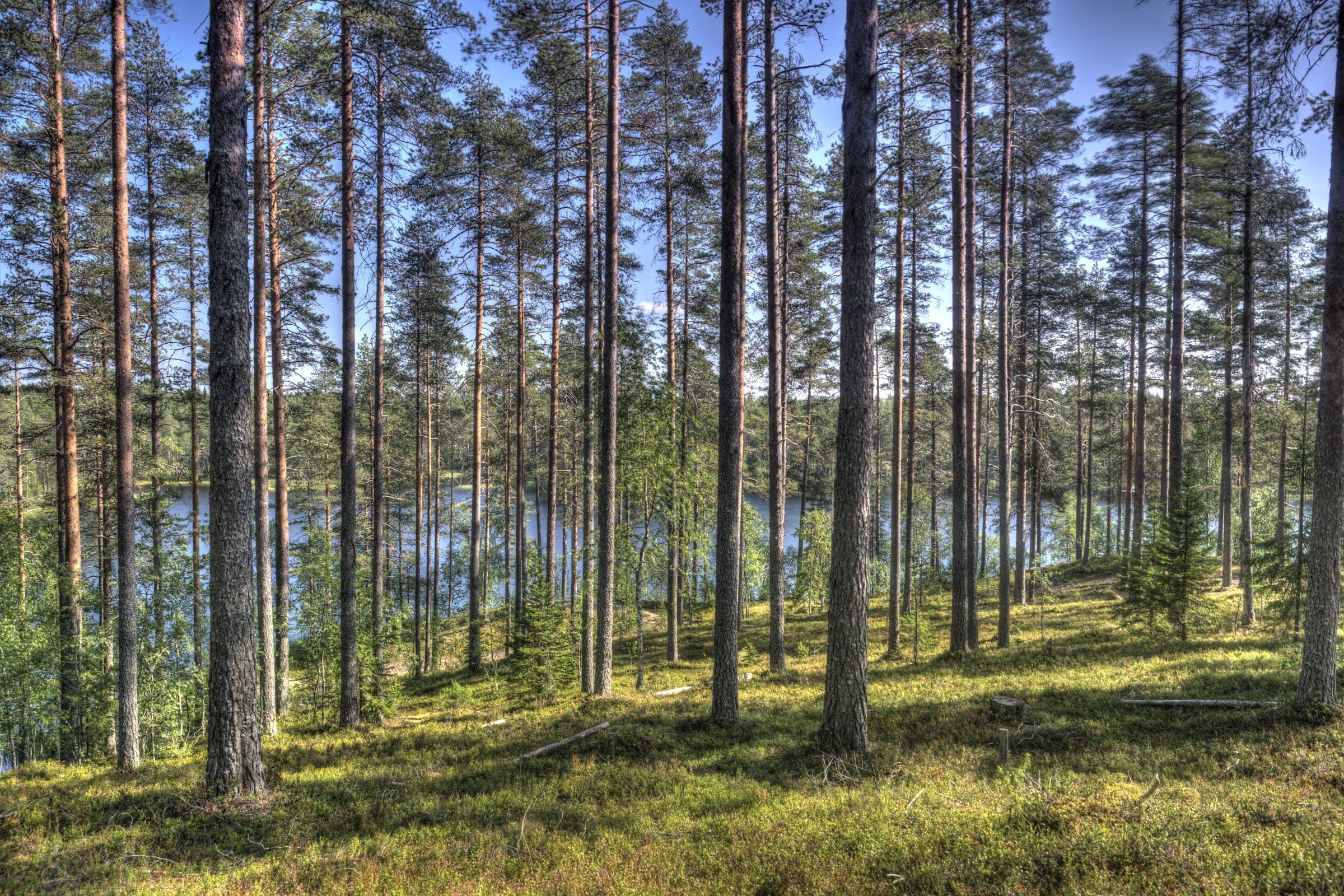 Hällämönharju Esker
